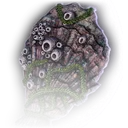Fossilised Shell icon