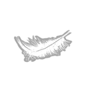 Lightweight icon
