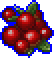 Berry icon