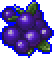Blueberry icon