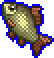 Carp icon