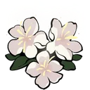 Myrtle icon
