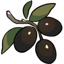 Olive icon