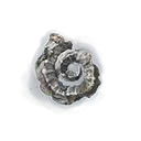 Silver Horn Tender