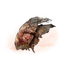 Aeonian Butterfly