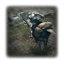 About Horseback Riding
