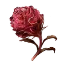 Scarlet Bud