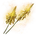 Altus Bloom