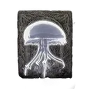 Spirit Jellyfish Ashes