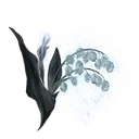 Ghost Glovewort [5]
