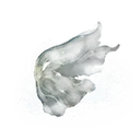 Nascent Butterfly
