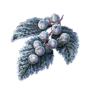 Rimed Rowa