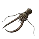 Great Dragonfly Head