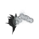 Grave Glovewort [7]
