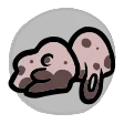 Human Hide icon
