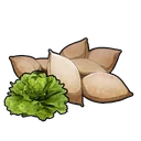 Lettuce Seeds icon