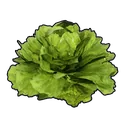Lettuce icon