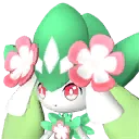 Petallia icon