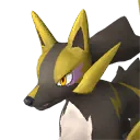 Rayhound icon