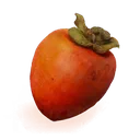 Taro Persimmon icon