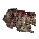 Surgeon's Stained Letter icon