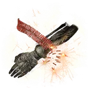 Shinobi Firecracker icon
